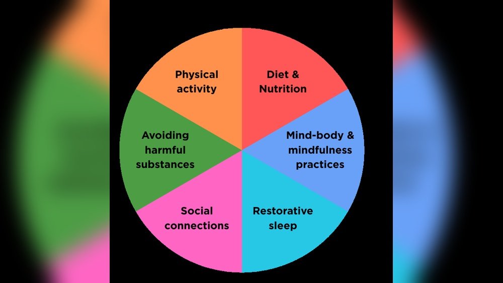 Barrier Repair And Sleep And Diet And Exercise: Lifestyle Impact Guide