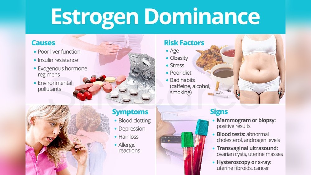 Estrogen Dominance And Its Effects on Hair And Skin And Weight Estrogen Dominance And Its Effects on Hair And Skin And Weight