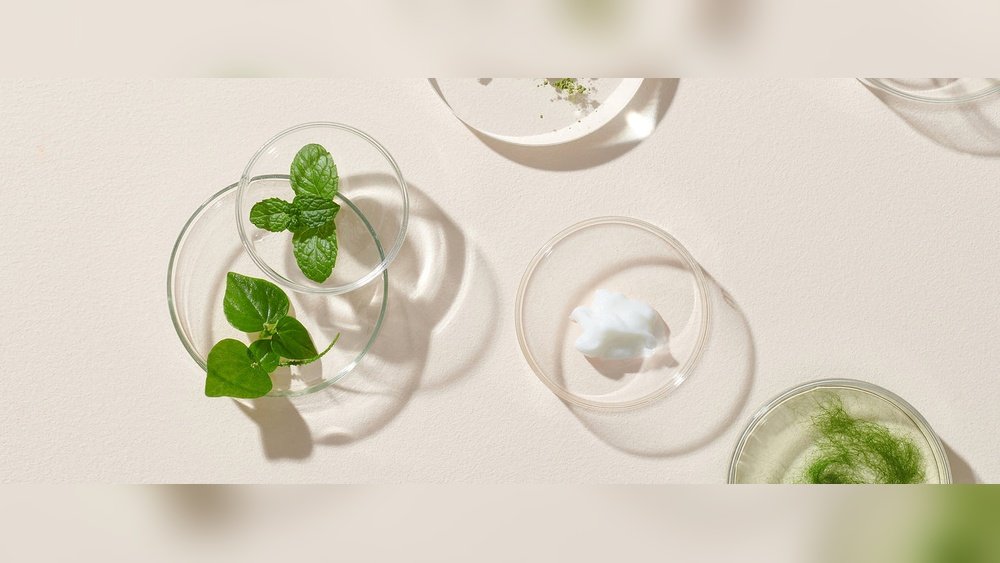 Ingredient Lists Decoded: Reading Labels on Hair And Skin Products Ingredient Lists Decoded: Reading Labels on Hair And Skin Products