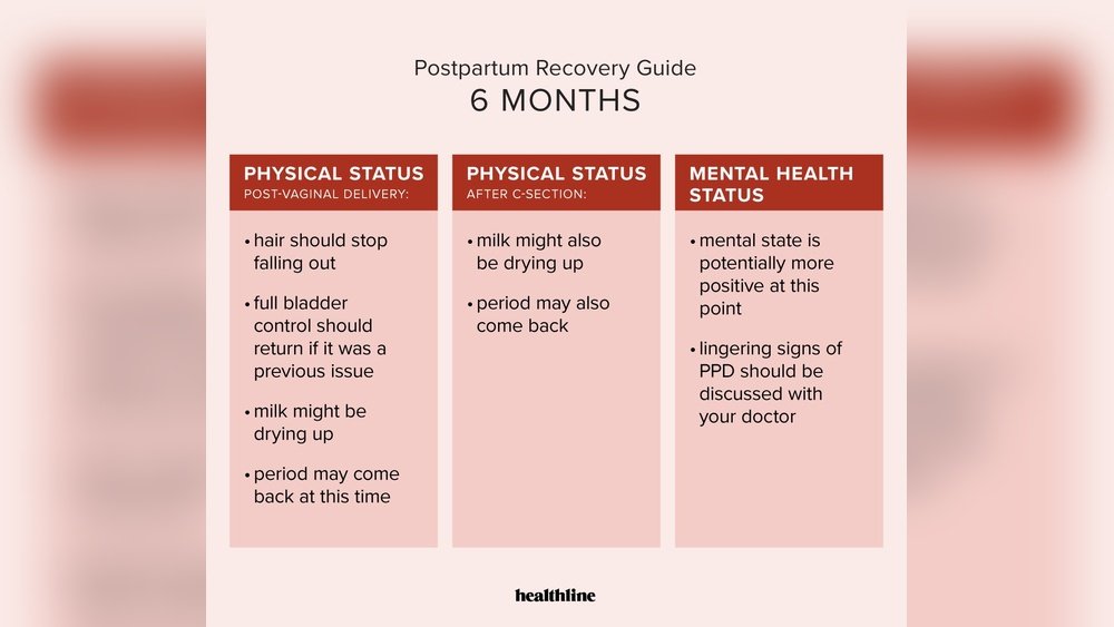 Postpartum Hair Regrowth Timeline Month by Month: Visual Guide Postpartum Hair Regrowth Timeline Month by Month: Visual Guide