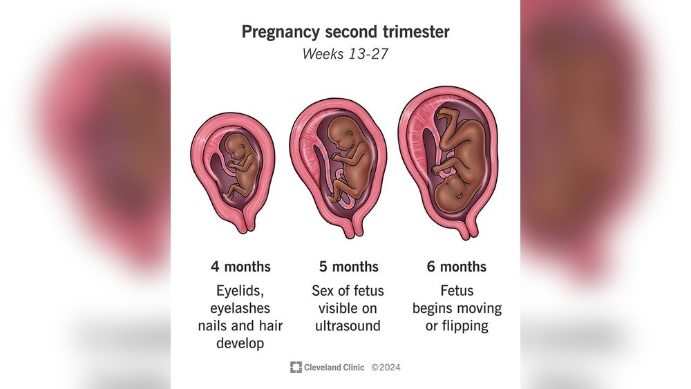 Second Pregnancy Hair Loss: Is It Worse the Second Time Around