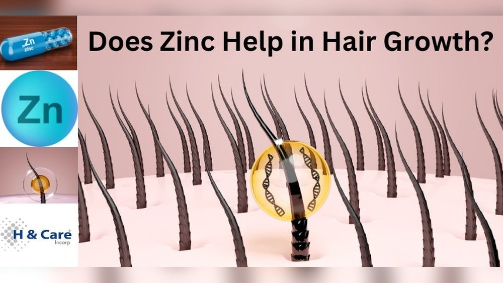 The Role of Zinc in Hair Growth And When Supplementation Helps The Role of Zinc in Hair Growth And When Supplementation Helps